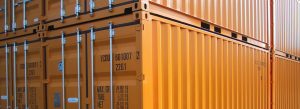 20' Container ICON